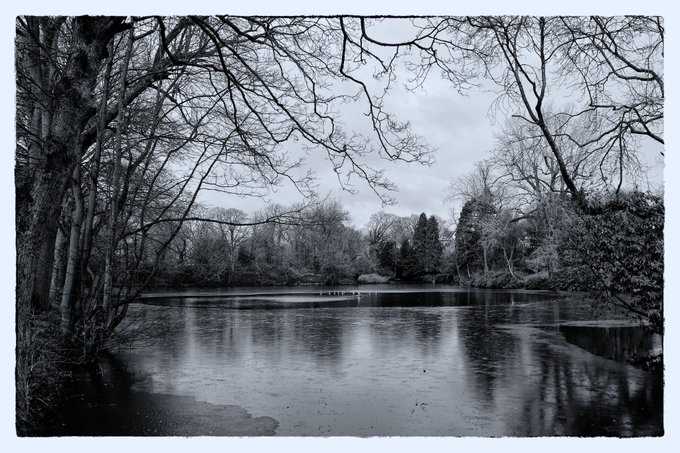 Barry Moseley Park